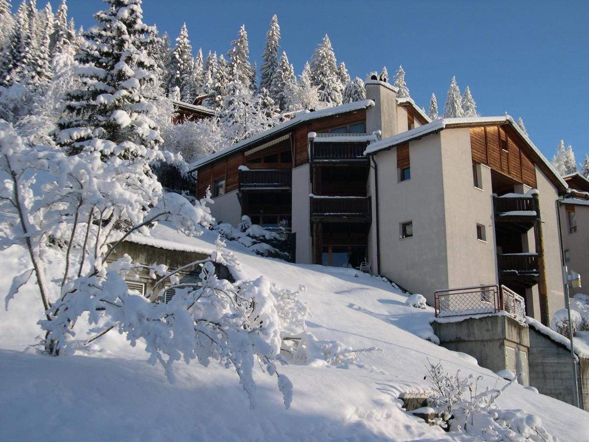 Panorama A23 Fitzi - Ferienwohnung Fuer 1-2 Personen Flims Exterior photo